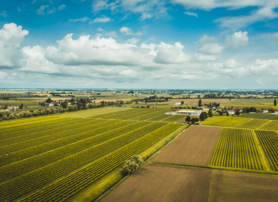 DJI_0024